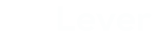 Lever Consultoria Empresarial Business LAB